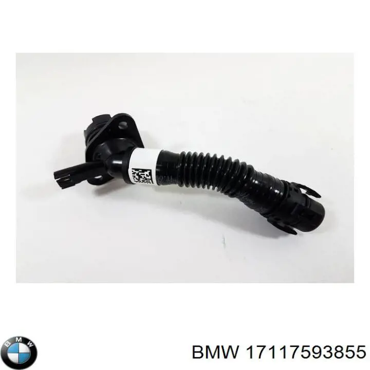 17117593855 BMW