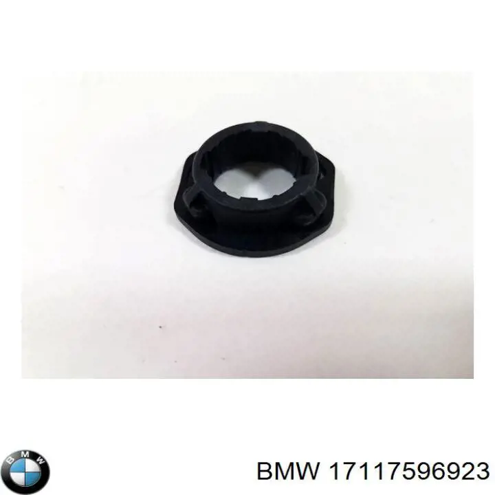  BMW 17117596923 precio, desde 1,62 EUR