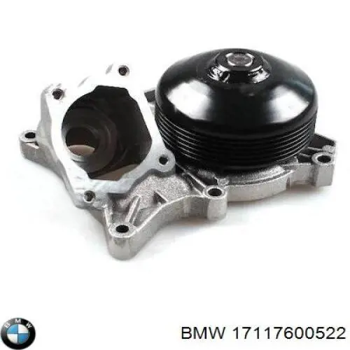 17117600522 BMW