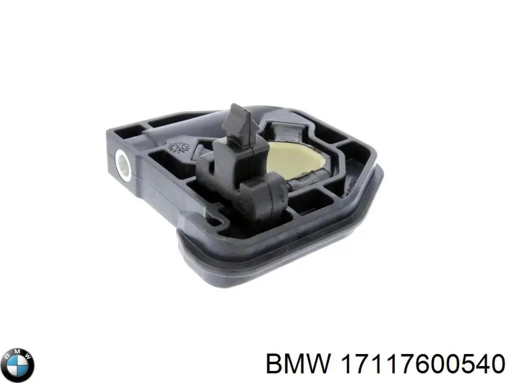 Soporte de radiador, derecho BMW 2 (F23)