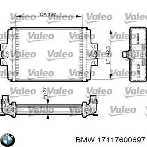 17117600697 BMW