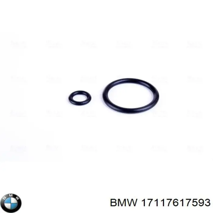 Água radiador BMW 17117617593 precio, desde 130,68 EUR