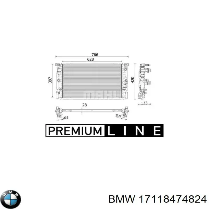 17118474824 BMW