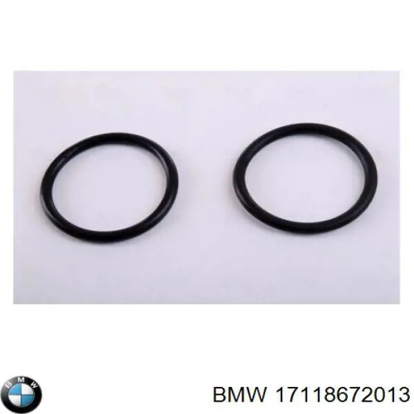 17118672013 BMW Refrigeración del motor