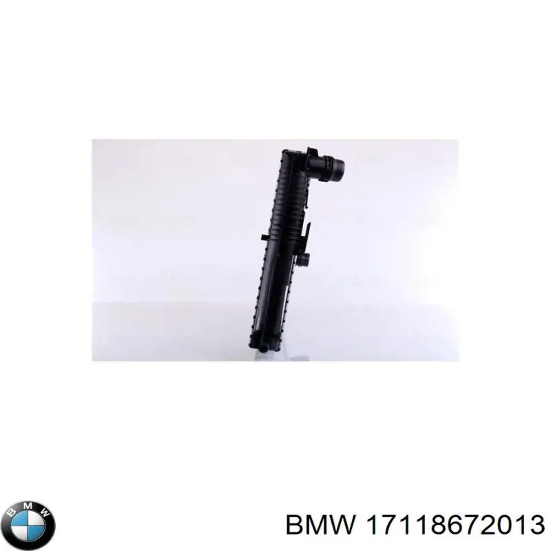 17118672013 BMW radiador