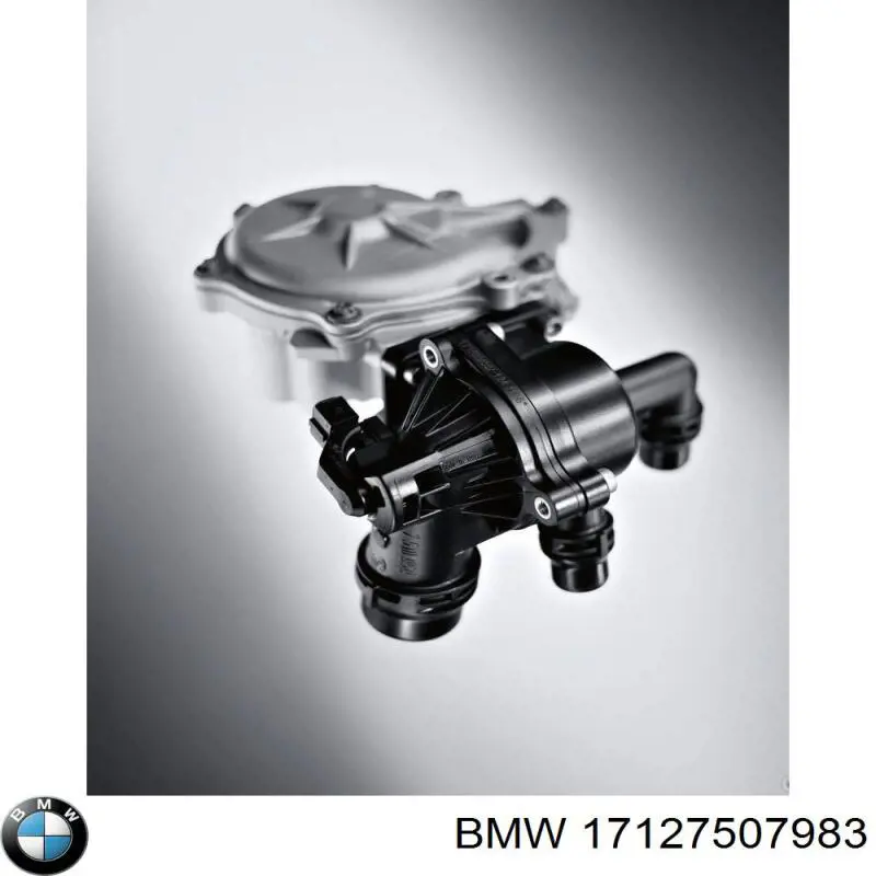 Comprar 17127507983 BMW 