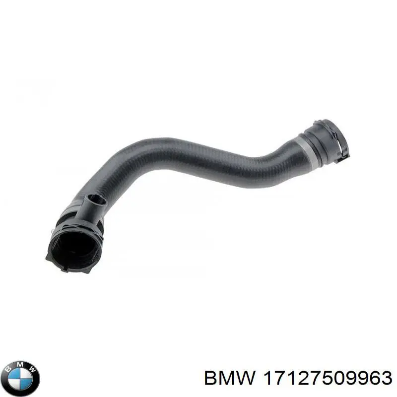 17127509963 BMW manguera refrigerante para radiador inferiora