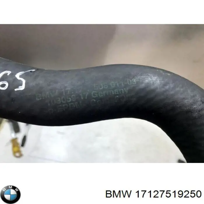 17127519250 BMW manguera refrigerante para radiador inferiora