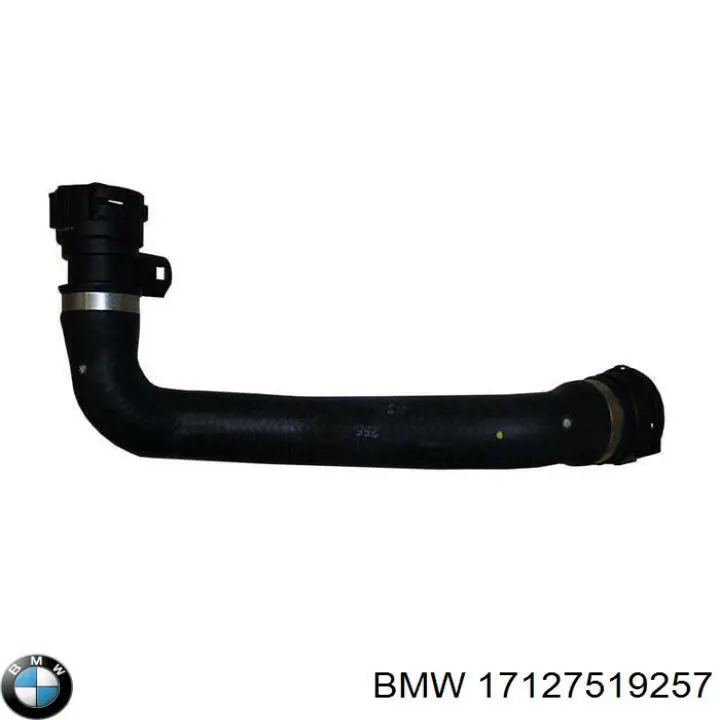 17127519257 BMW manguera refrigerante para radiador inferiora