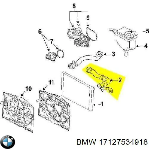Manguera superior del radiador BMW 17127534918 precio, desde 49,87 EUR
