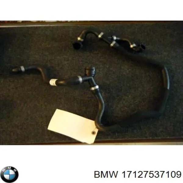 Manguera superior del radiador BMW 17127537109 precio, desde 53,11 EUR