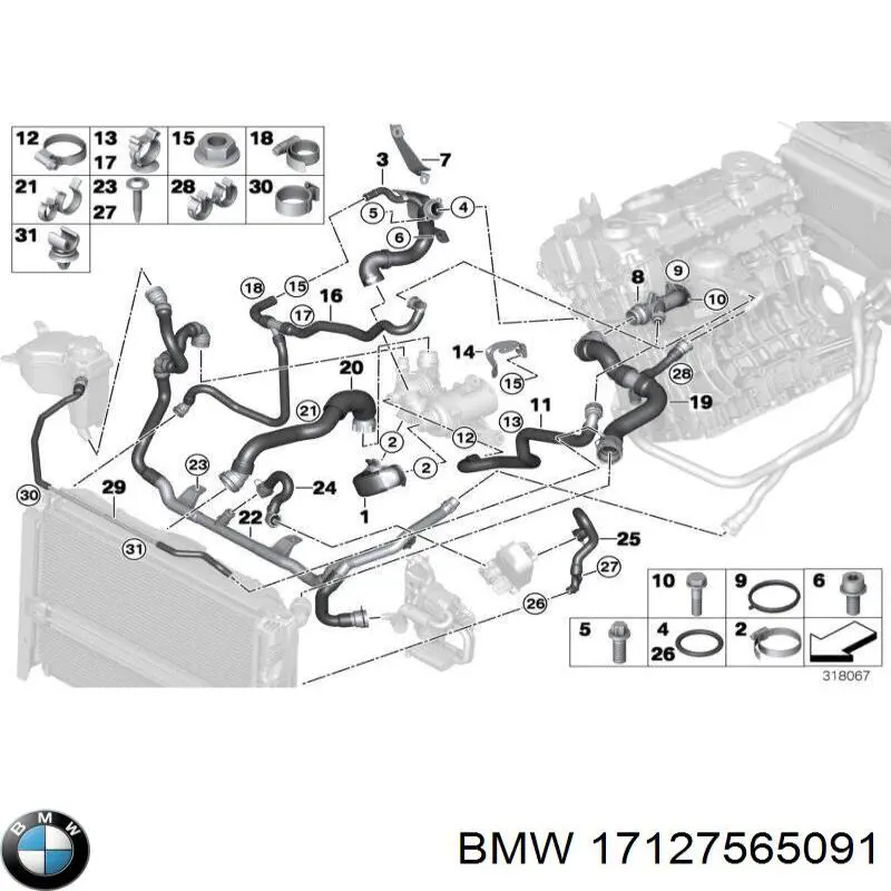 17127565091 BMW tubería de radiador, tuberia flexible calefacción, superior