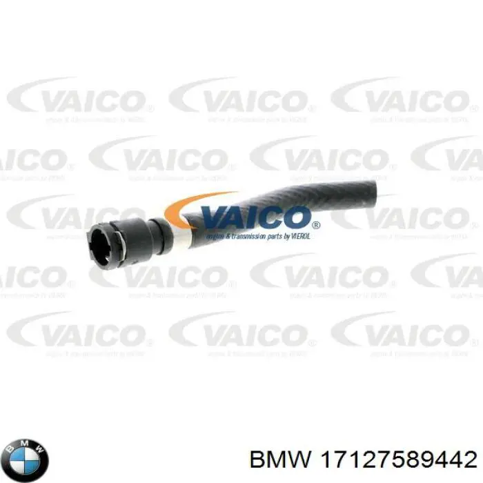 17127589442 BMW tubería de radiador arriba