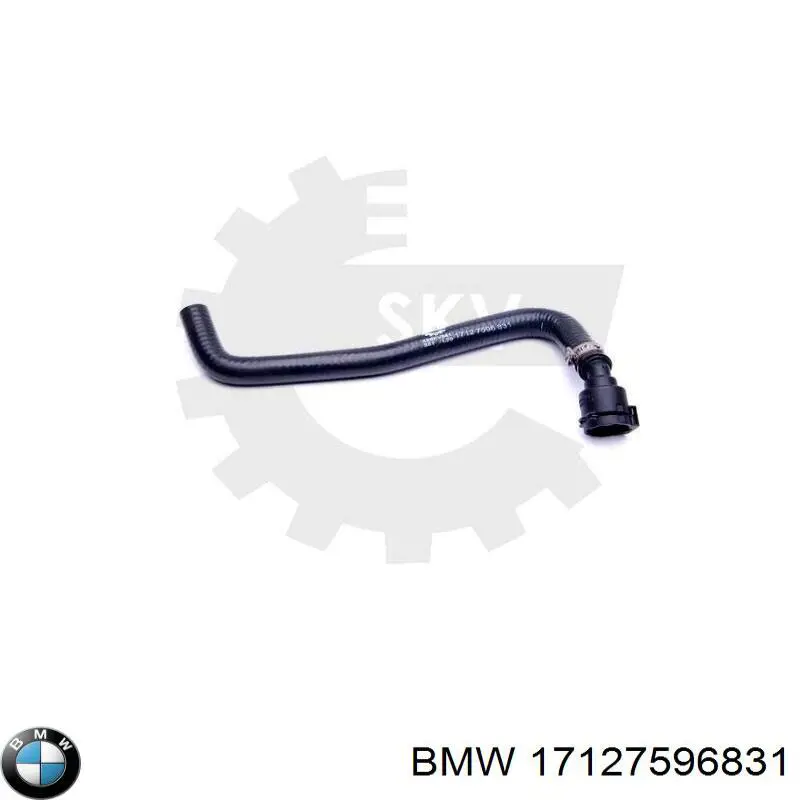 Manguera de impulsión de la bomba de agua BMW 17127596831 precio, desde 18,24 EUR