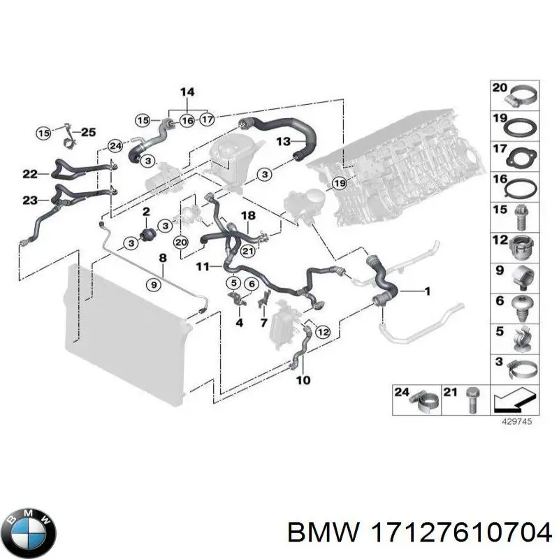 17127580959 BMW manguera refrigerante para radiador inferiora