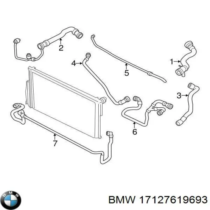 Manguera inferior del radiador BMW 17127619693 precio, desde 125,64 EUR