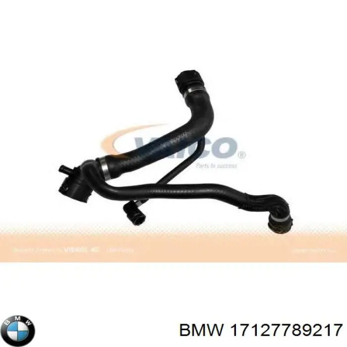 17127789217 BMW Decantador de aceite