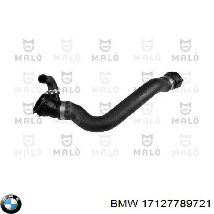 17127789721 BMW Manguera inferior del radiador