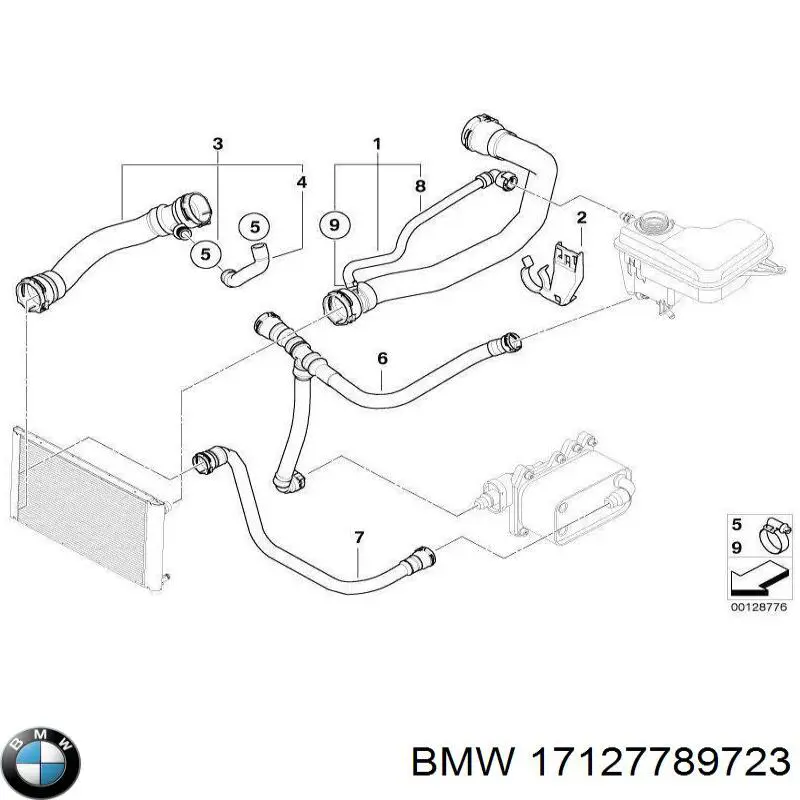 Manguera inferior del radiador BMW 17127789723 precio, desde 33,58 EUR