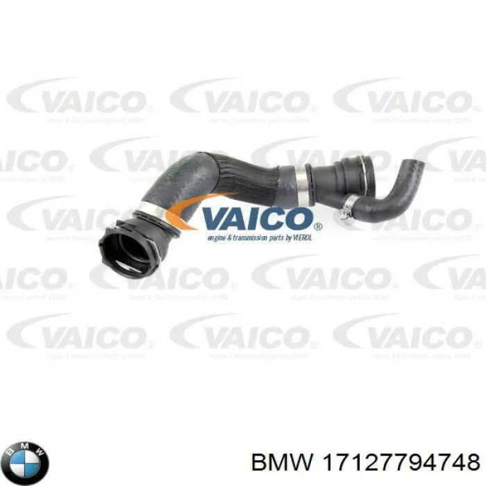  BMW 17127794748 precio, desde 91,61 EUR