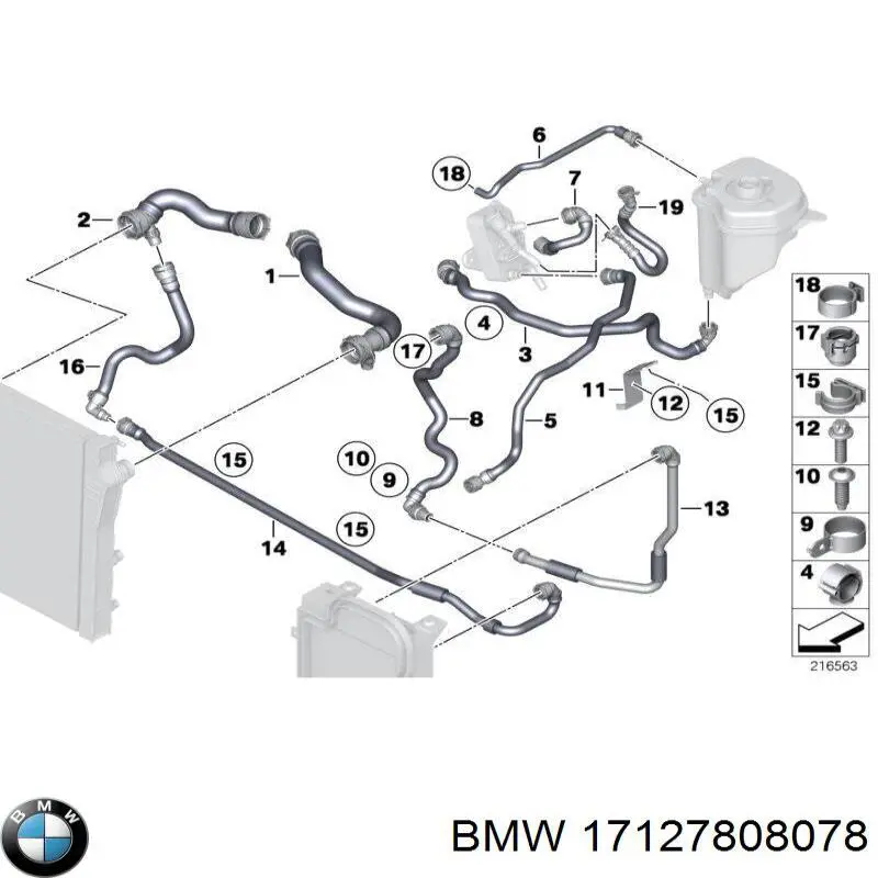 Manguera inferior del radiador BMW 17127808078 precio, desde 25,02 EUR