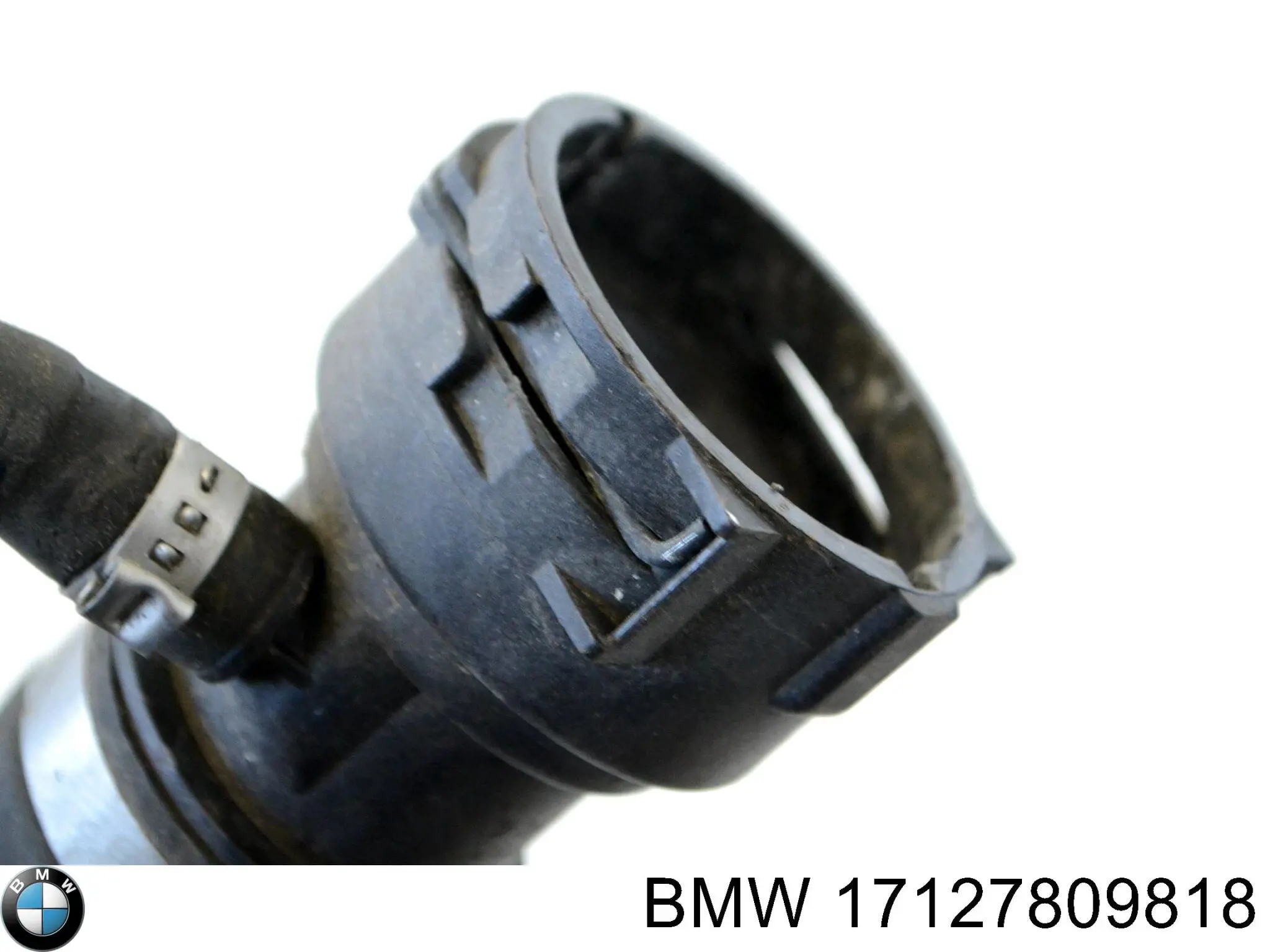 Manguera superior del radiador STC T403962 precio, desde 55,57 EUR