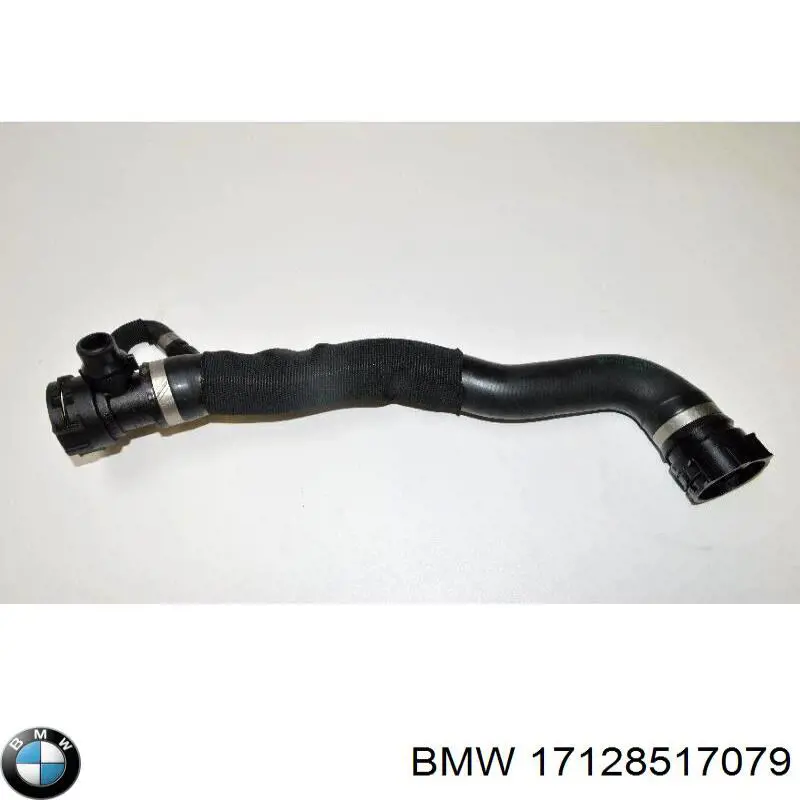 Comprar 17128517079 BMW 