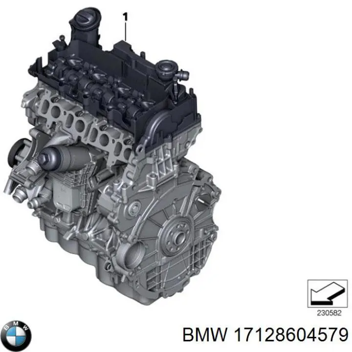 17128604579 BMW moldura de luneta trasera