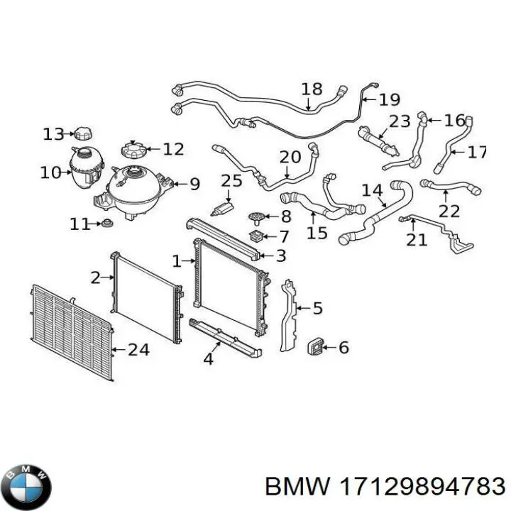 Manguera inferior del radiador BMW 17129894783 precio, desde 72,45 EUR