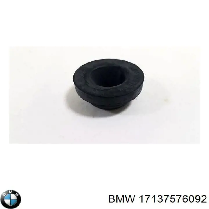  17137576092 BMW
