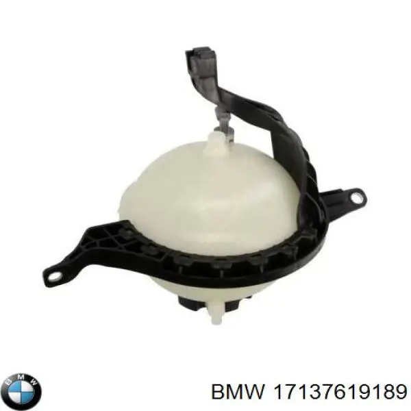 17137619189 BMW vaso de expansión, refrigerante