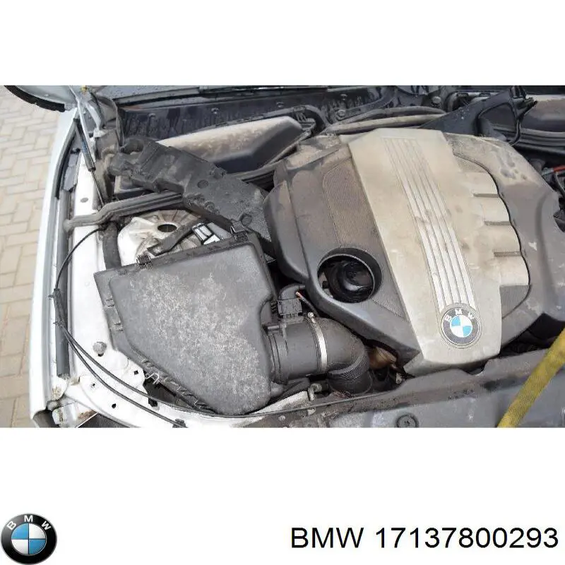 Botella de expansión BMW 17137800293