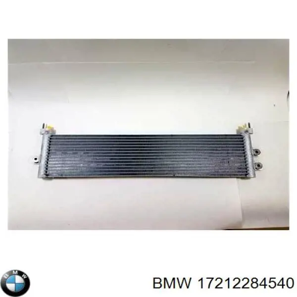 17212284540 BMW