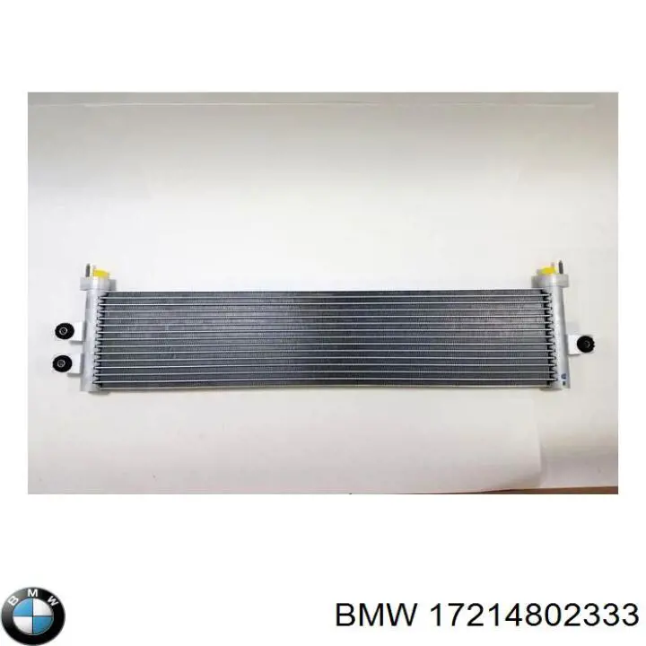 17214802333 BMW