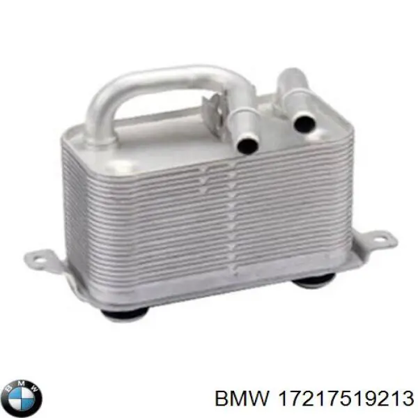 17217519213 BMW radiador de aceite