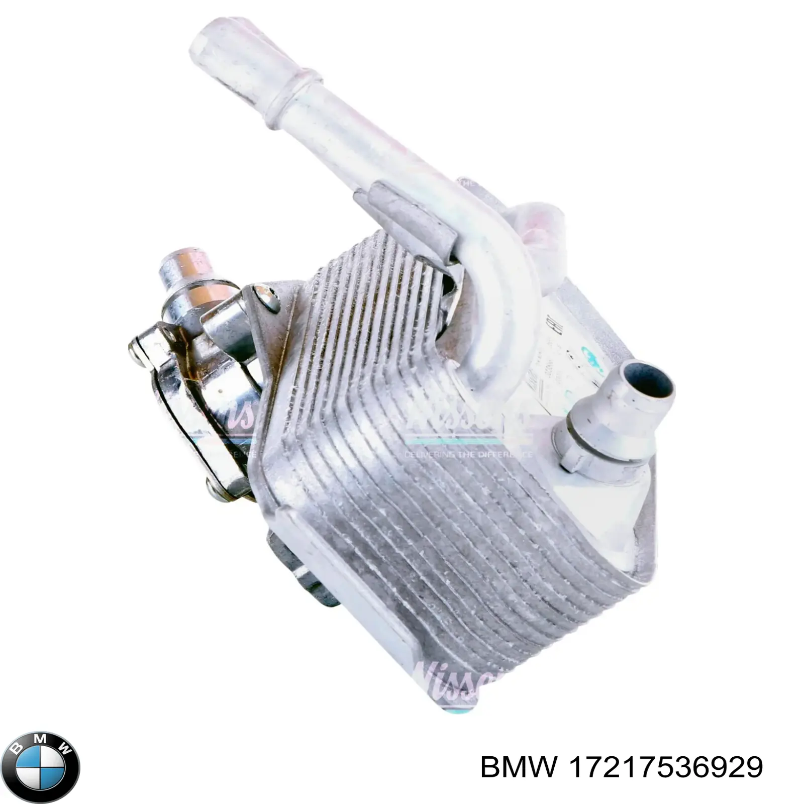 17217536929 BMW radiador de aceite, bajo de filtro