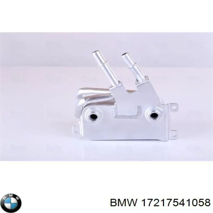 17217541058 BMW radiador de aceite