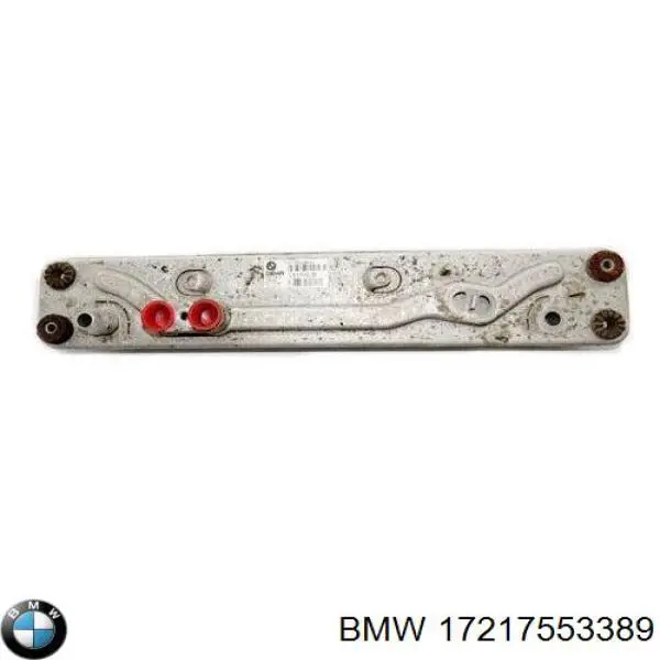 17217553389 BMW radiador enfriador de la transmision/caja de cambios