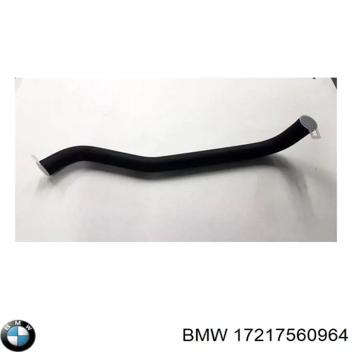 17217560964 BMW