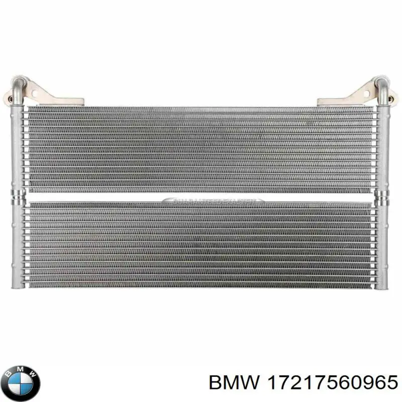 17217560965 BMW