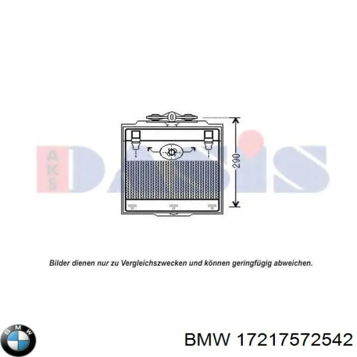 17217572542 BMW radiador de aceite