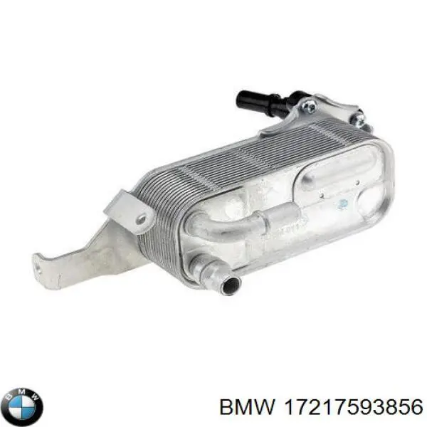 17217593856 BMW radiador enfriador de la transmision/caja de cambios
