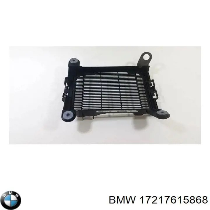 17217615868 BMW