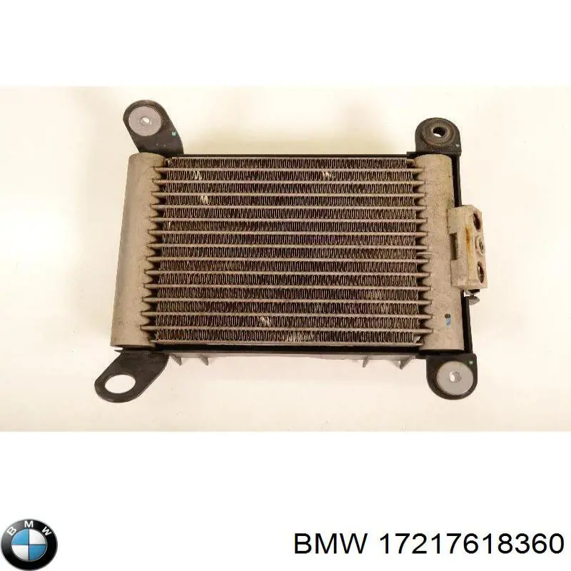 17217618360 BMW