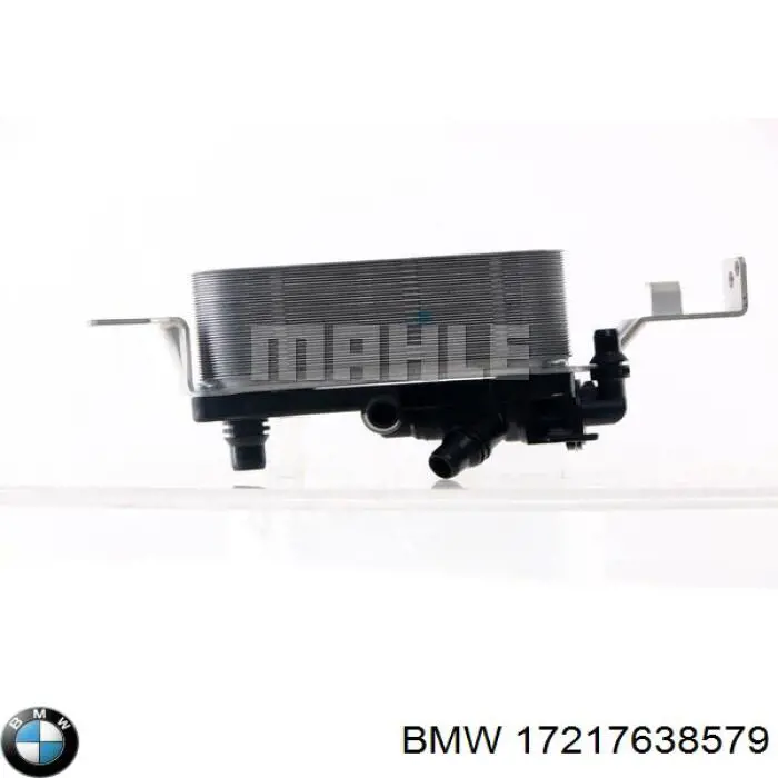 17217638579 BMW radiador enfriador de la transmision/caja de cambios