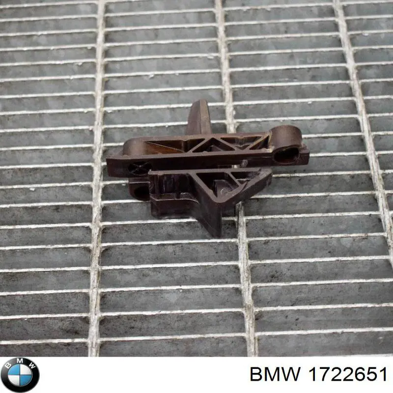 1722651 BMW Tensor superior de cadena de distribución