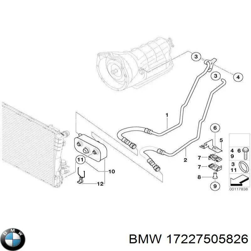 17227505826 BMW radiador enfriador de la transmision/caja de cambios