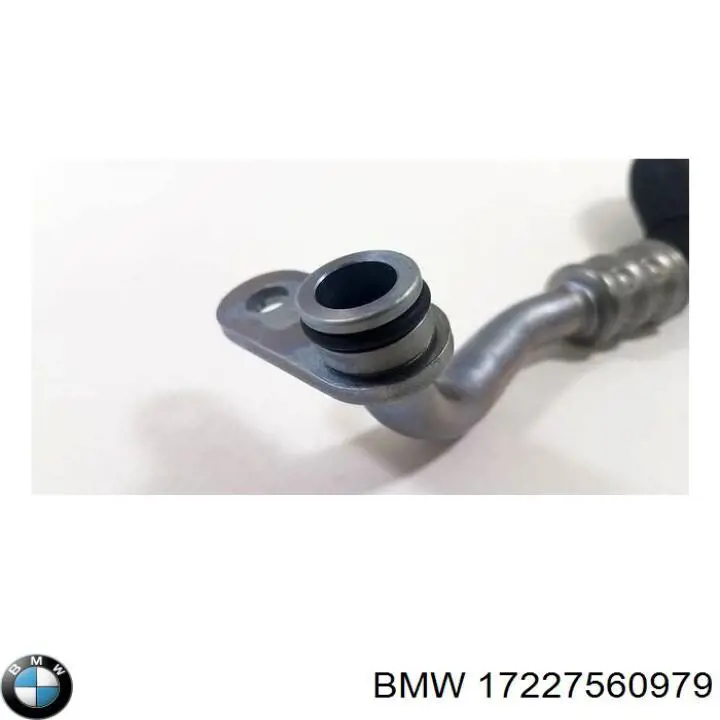 17227560979 BMW