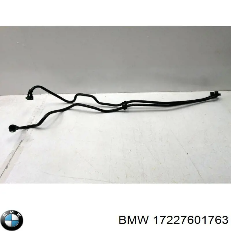 17227601763 BMW