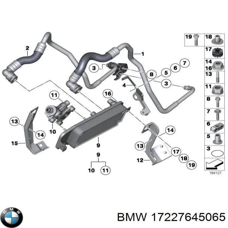 17227645065 BMW tubo (manguera de retorno del radiador de aceite (baja presión))